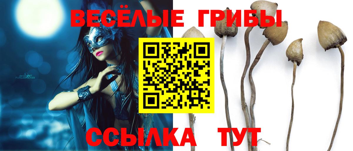 Людиново  Псилоцибиновые грибы прущие грибы  Вход с VPN 