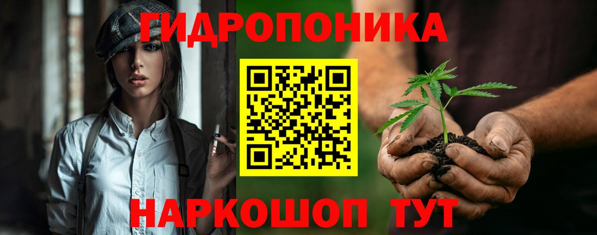 Конопля планчик Людиново